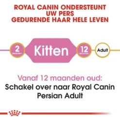 Royal Canin Kattenvoer Persian Kitten 4 Kg -Aanbiedingen Snoef Poot Winkel royal canin persian kitten kitten kat pers hero image 8