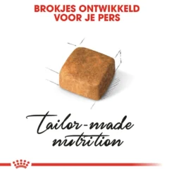 Royal Canin Kattenvoer Persian Kitten 2 Kg 5 Royal Canin Kattenvoer Persian Kitten 2 Kg -Aanbiedingen Snoef Poot Winkel royal canin persian kitten kitten kat pers hero kibble 1