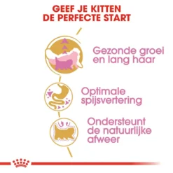 Royal Canin Kattenvoer Persian Kitten 2 Kg 6 Royal Canin Kattenvoer Persian Kitten 2 Kg -Aanbiedingen Snoef Poot Winkel royal canin persian kitten kitten kat pers hero usp 1
