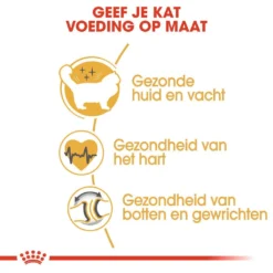 Royal Canin Kattenvoer Ragdoll Adult 2 Kg -Aanbiedingen Snoef Poot Winkel royal canin ragdoll adult volwassen kat ragdoll van 1 tot 12 jaar hero usp