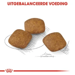 Royal Canin Hondenvoer Relax Care Medium 10 Kg 5 Royal Canin Hondenvoer Relax Care Medium 10 Kg -Aanbiedingen Snoef Poot Winkel royal canin relax care medium extra zorg gedrag volwassen middelgrote honden hero kibble