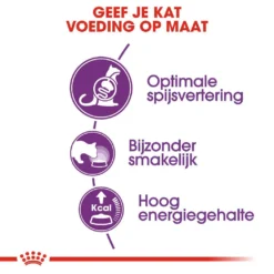 Royal Canin Kattenvoer Sensible 33 2 Kg -Aanbiedingen Snoef Poot Winkel royal canin sensible 33 volwassen kat ondersteuning spijsvertering hero usp