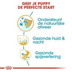 Royal Canin Hondenvoer Shih Tzu Puppy 1,5 Kg -Aanbiedingen Snoef Poot Winkel royal canin shih tzu junior pup hond shih tzu hero usp