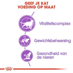 Royal Canin Kattenvoer Sterilised 7+ 10 Kg 6 Royal Canin Kattenvoer Sterilised 7+ 10 Kg -Aanbiedingen Snoef Poot Winkel royal canin sterilised 7plus volwassen kat castratie sterilisatie hero usp