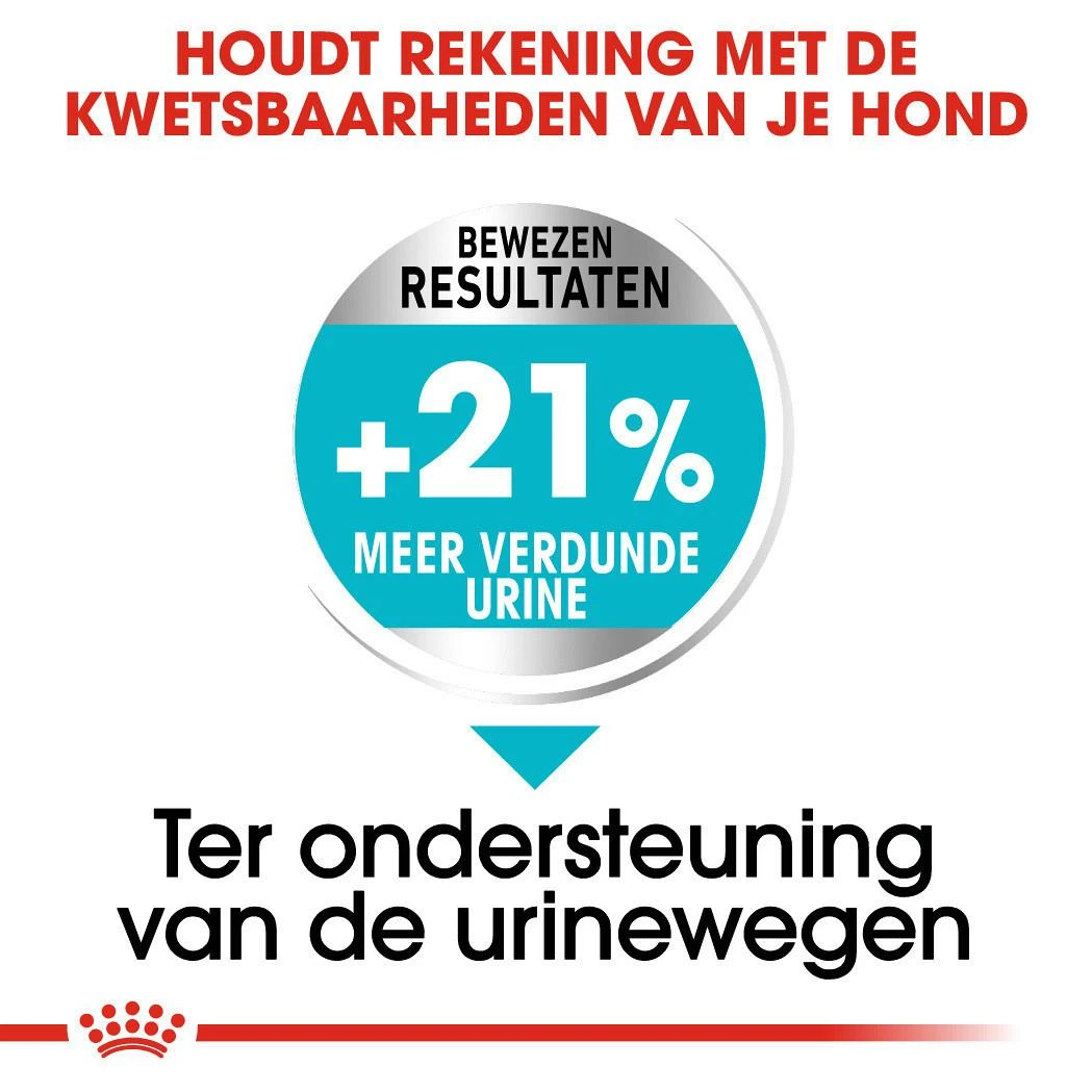 Royal Canin Hondenvoer Urinary Care Mini 3 Kg 4 Royal Canin Hondenvoer Urinary Care Mini 3 Kg - Afbeelding 4