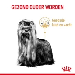 Royal Canin Hondenvoer Yorkshire Terrier Adult 8+ 3 Kg -Aanbiedingen Snoef Poot Winkel royal canin yorkshire terrier adult volwassen hond yorkshire terrier vanaf 8 jaar hero usp
