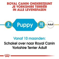 Royal Canin Hondenvoer Yorkshire Terrier Puppy 7,5 Kg -Aanbiedingen Snoef Poot Winkel royal canin yorkshire terrier junior pup hond yorkshire terrier hero image 9