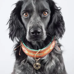 Dog With A Mission Halsband Tiger Lily -Aanbiedingen Snoef Poot Winkel tigerlily 4cm halsband2